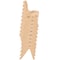 Flash Furniture Natural Plastic Stackable School Chair with 13.25" Seat Height, PK2 2-YU-YCX-004-NAT-GG - alternate 9